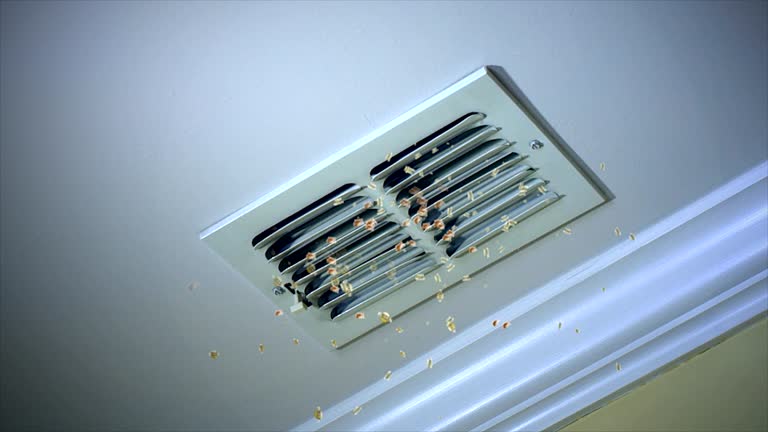 Best Affordable HVAC Duct Cleaning  in Mayodan, NC