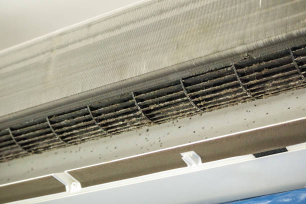 Best General Air Duct Cleaning  in Mayodan, NC